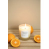 Recharge de bougie citronelle